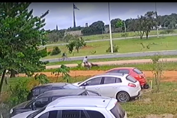 homem sendo atacado por cachorro
