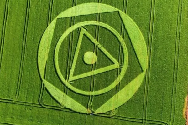 Foto colorida de plantação verde com desenhos geométricos - Metrópoles.