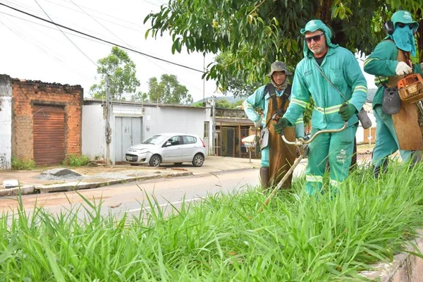 goias serviço roçagem