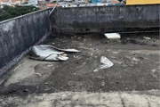 Cão apresentava comportamento reativo e sinais de medo Cão apresentava comportamento reativo e sinais de medo