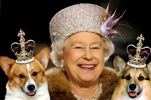 Palácio de Buckingham fará mostra sobre os pets da família real