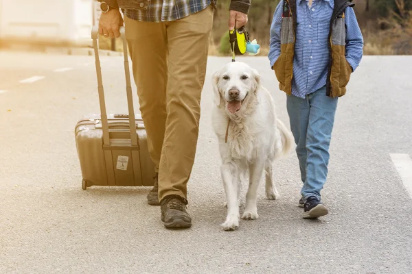 Homem e menino andando na rua com mala e cachorro - Metrópoles
