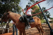 O projeto utiliza o movimento tridimensional do cavalo para trabalhar aspectos como equilíbrio, postura e coordenação motora durante as sessões O projeto utiliza o movimento tridimensional do cavalo para trabalhar aspectos como equilíbrio, postura e coordenação motora durante as sessões
