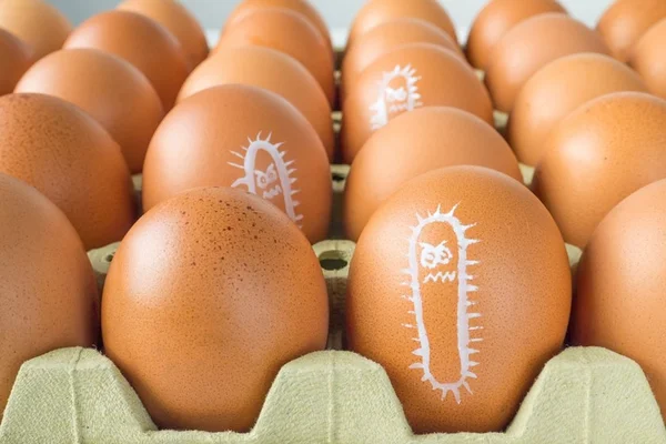 Bactéria da salmonella imita DNA e sabota células de defesa do corpo