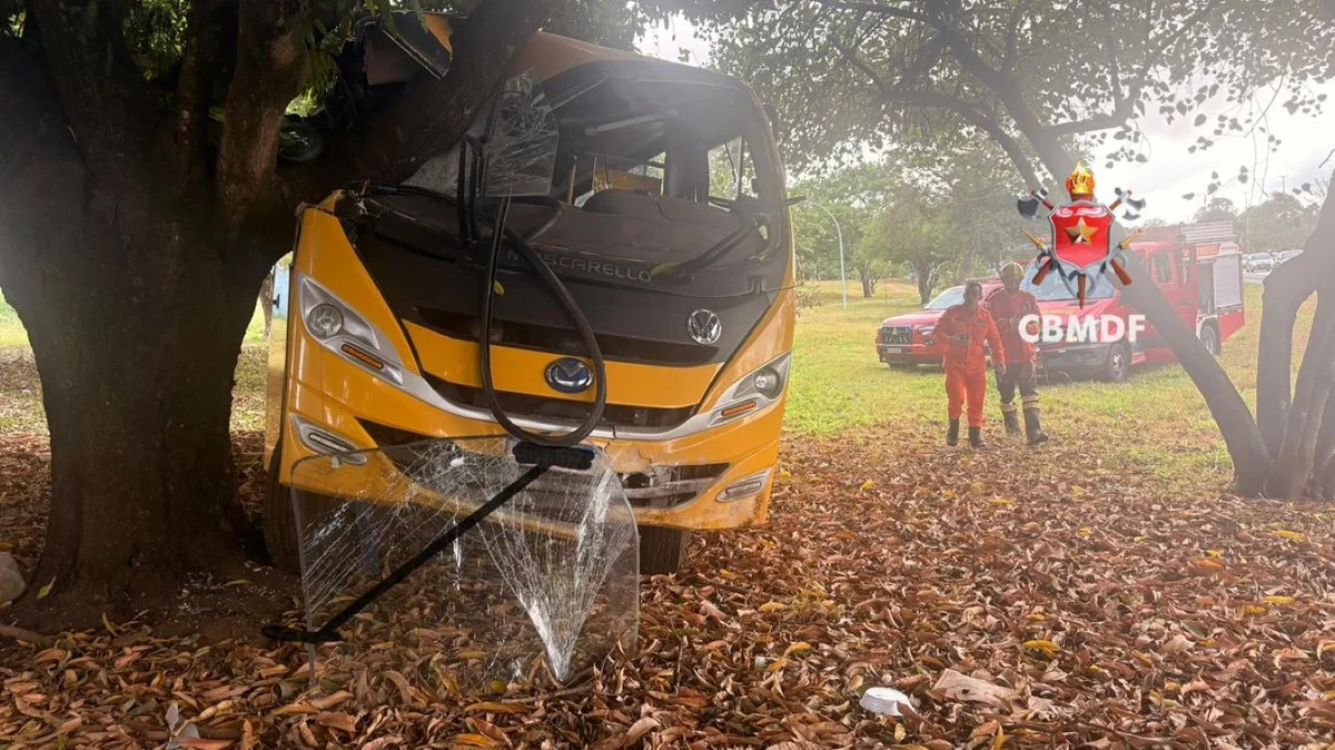 Van com 27 crianças bate em árvore na BR-020 Van com 27 crianças bate em árvore na BR-020