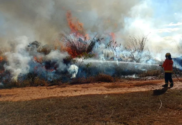 Governo vai contratar brigadas federais para conter incêndios