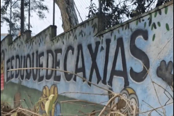 Escola na zona leste de SP é interditada por risco de queda de árvores
