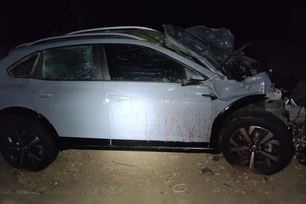 Imagem colorida mostra carro de casal que atropelou égua batido - Metrópoles