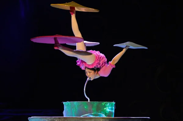 Circo Imperial da China inicia turnê no Brasil pela capital