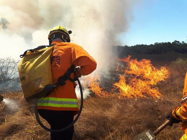 Incêndio florestal atinge mata próximo ao Setor Lúcio Costa