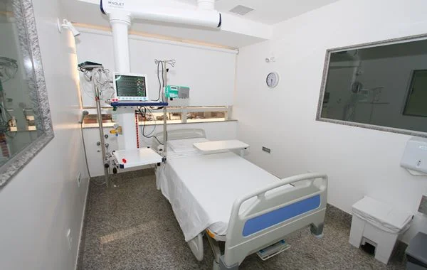 Veterinário não consegue vaga em UTI mesmo com decisão judicial