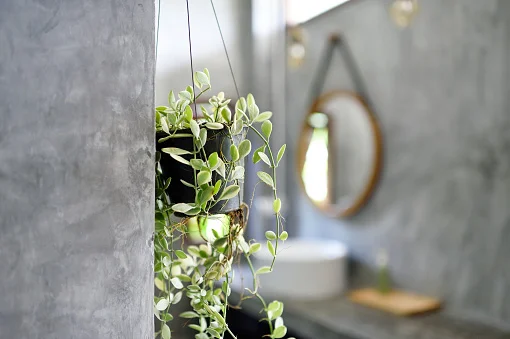 Floresta urbana: 8 vasos de plantas para decorar a casa por até R$ 25
