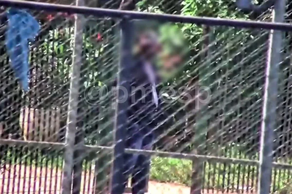 Segundo a PM, o homem foi encontrado usando as mesmas roupas da primeira detenção e voltou a ser abordado no mesmo local por tráfico - Metrópoles