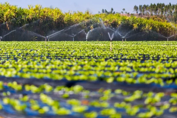 ONU alerta para possível crise alimentar devido a conflito no Irã