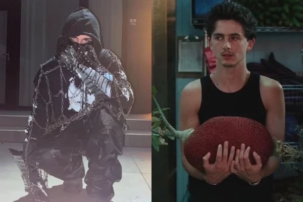 montagem colorida com fotos de Timothée suposto rapper