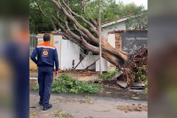 Tornado? O que é a microexplosão que causou destruição no interior de SP