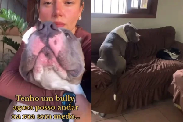 Mulher adota cachorro para segurança, mas pet é diferente do esperado