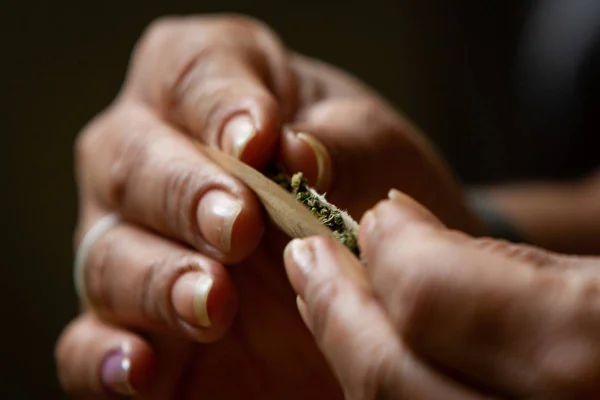 Dedos bolando cigarro de maconha - Metrópoles