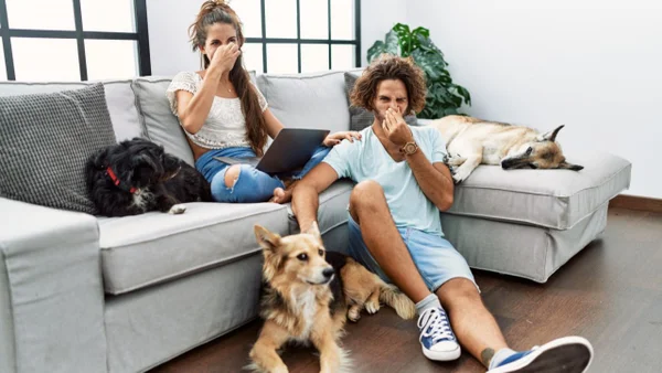 odor de cachorro em casa