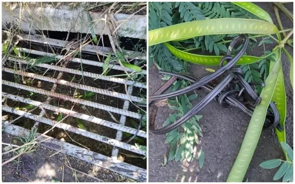 GO: mulher é amarrada em bueiro de lote baldio, após ser estuprada