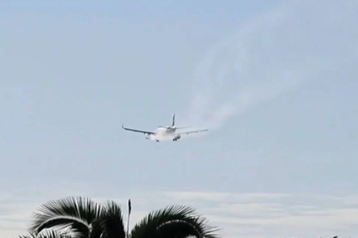 Aeronave faz pouso de emergência após colisão com ave em Brasília
