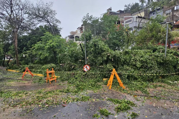 Agentes da Defesa Civil foram acionados para ocorrências na Avenida Brasil e na Avenida Fernão Dias, em Várzea Paulista, por causa do vento - Metrópoles