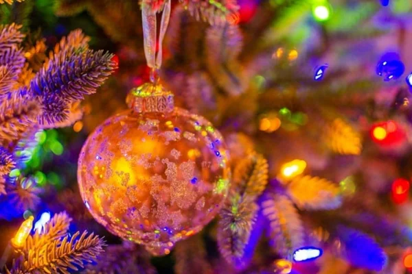 Natal