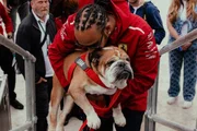 Lewis Hamilton levava Roscoe às corridas