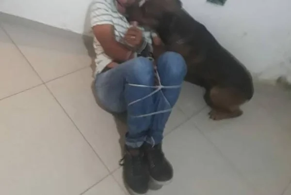 Homem amarra ex-sogro após sequestro e usa cão para ameaçá-lo