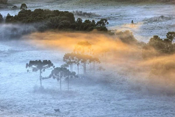 Imagem colorida, serra de SC amanhece com temperaturas negativas pelo segundo dia consecutivo- Metrópoles