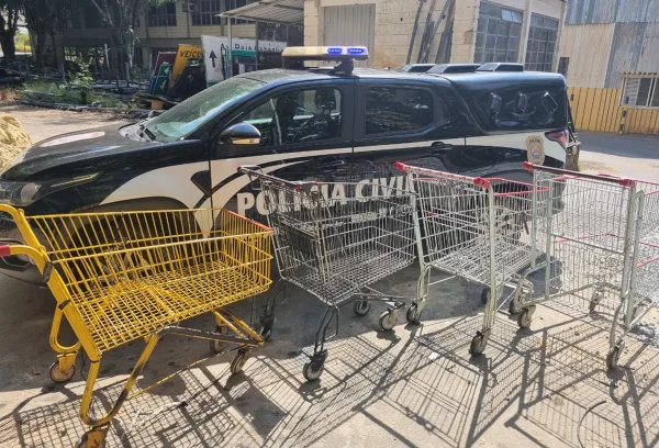 carrinhos supermercado