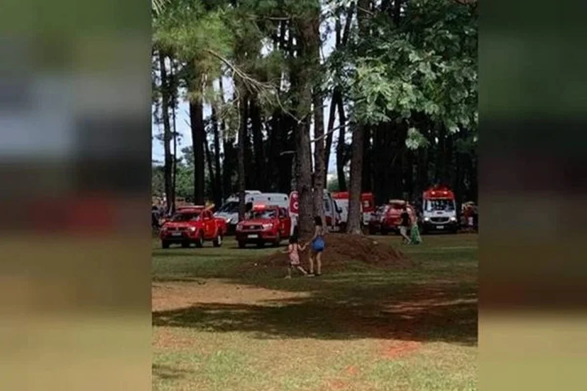 Entenda: Justiça bloqueia verbas para pagar tratamento de jovem atingido por árvore