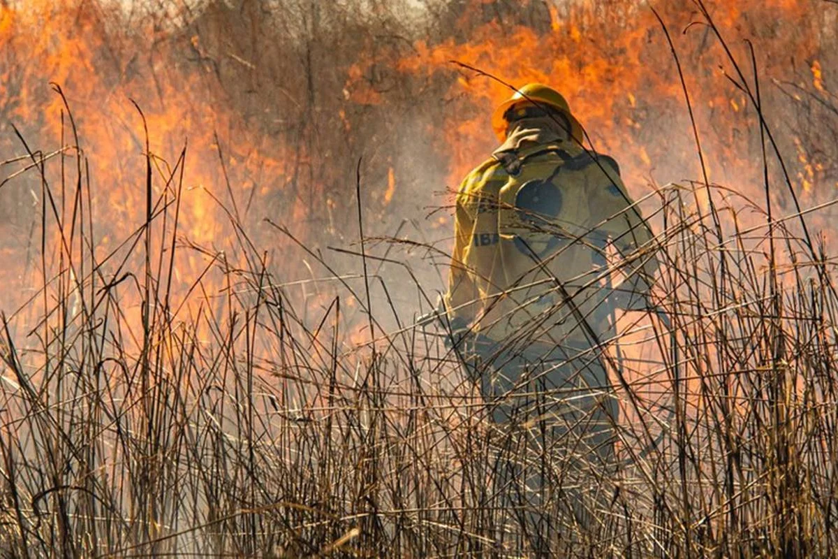 Fogo recorrente devasta 64% das áreas queimadas no Brasil