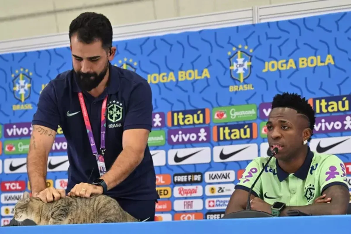 Assessor da CBF Vinícius Rodrigues expulsou gato de coletiva com Vini Jr. na Copa de 2022 Assessor da CBF Vinícius Rodrigues expulsou gato de coletiva com Vini Jr. na Copa de 2022