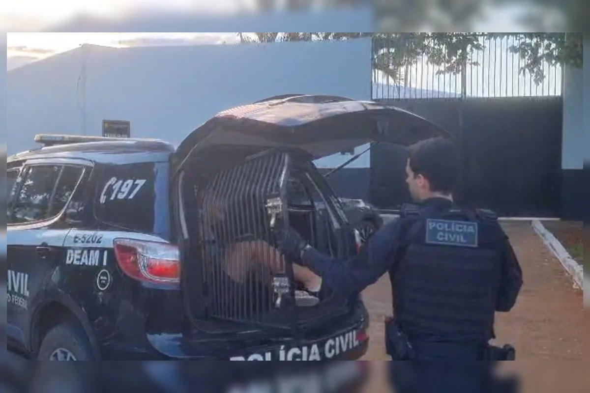 Ao grupo é atribuída a autoria de pelo menos 11 furtos consumados Ao grupo é atribuída a autoria de pelo menos 11 furtos consumados
