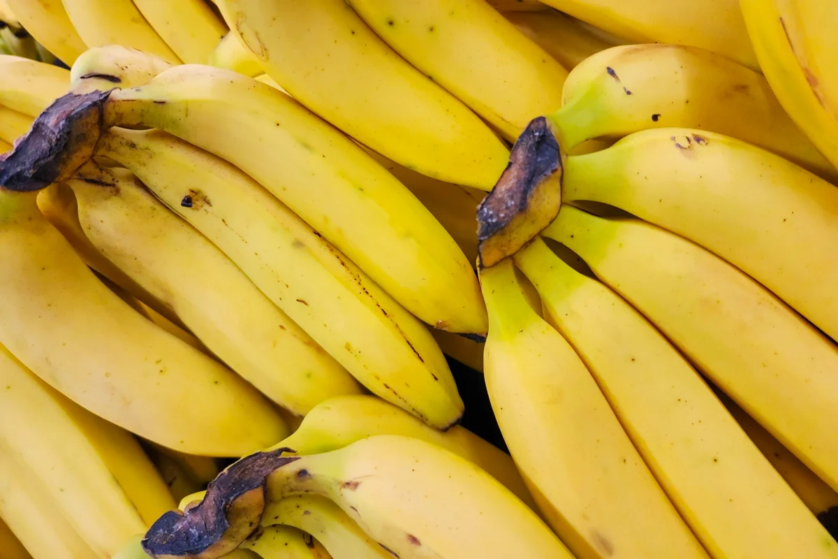 Pendurar o cacho de banana ajuda a conservar a fruta e evitar manchas