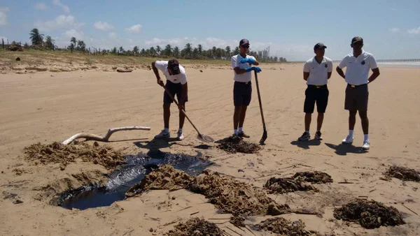 Óleo no Nordeste: Exército e Marinha ignoram orientação do Ibama
