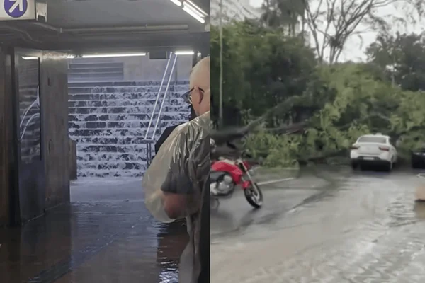 Colagem colorida de escada do metrô inundada com árvore caída em rua do centro de SP - Metrópoles