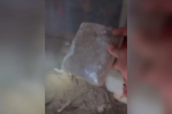 Imagem colorida de drogas escondida em galinheiro - Metrópoles