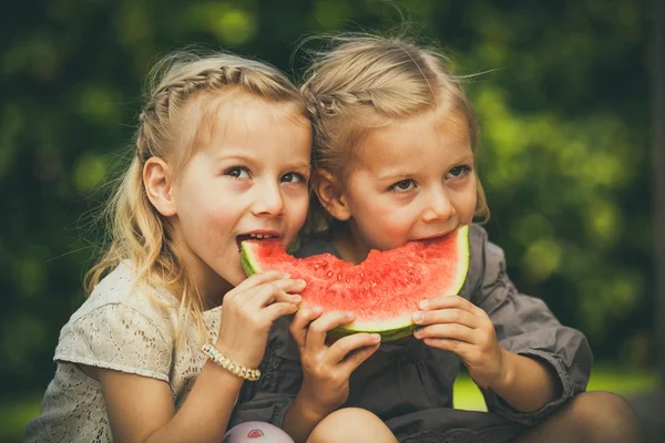Veja quais atitudes não tomar na criação de filhos gêmeos