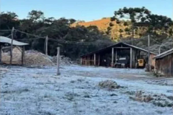 Parque Nacional do Itatiaia- Frio no RJ 6