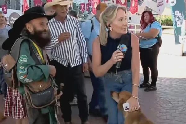 Cachorro “come” equipamento de apresentadora do SBT ao vivo