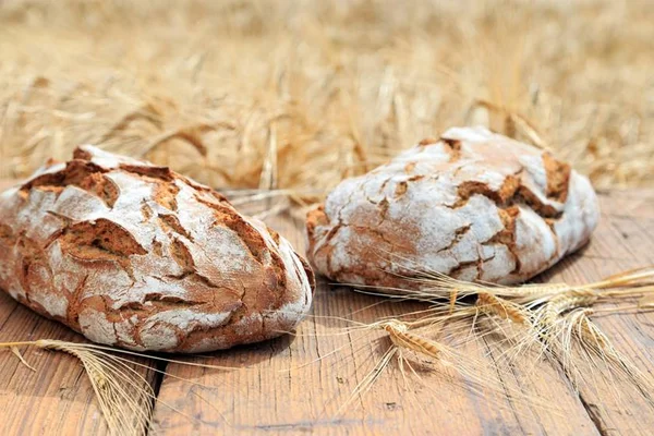 Rede de padarias alemã Das Brot abre as portas em Brasília