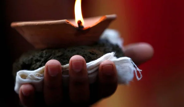 Por aumento salarial, servidor mata cadela em ritual macabro no DF