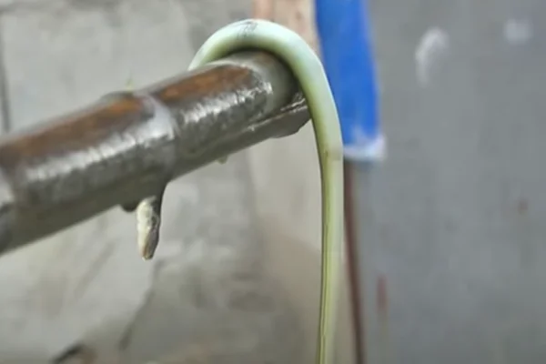 Imagem colorida de cobra verde morta pendurada em um pedaço de madeira. Metrópoles