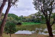 Córrego do Sapateiro no Ibirapuera