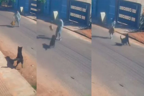 Imagem colorida de agente de saúde escapando de cachorro - Metrópoles