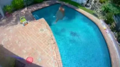 Vídeo: homem invade casa, mata pássaros e nada pelado até ser preso