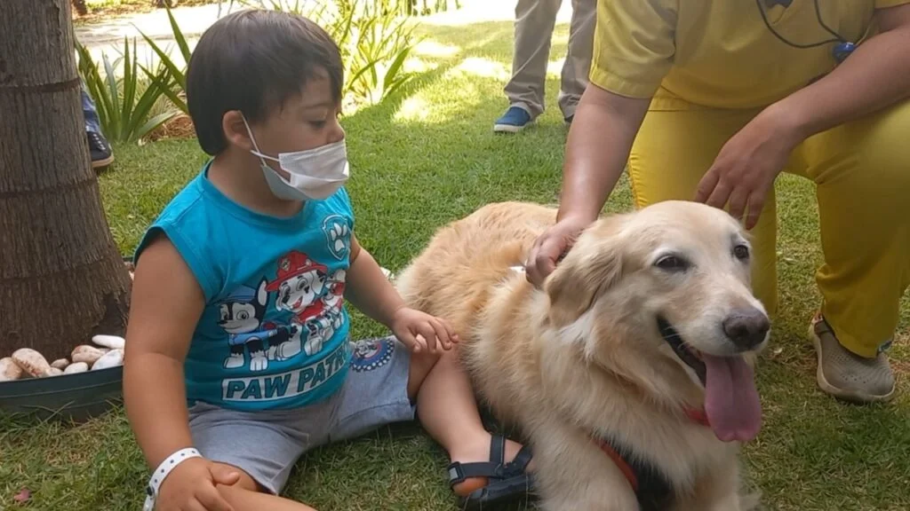 Terapia animal: pacientes recebem visitas de pets em Aparecida (GO) - imagem 4 Terapia animal: pacientes recebem visitas de pets em Aparecida (GO) - imagem 4