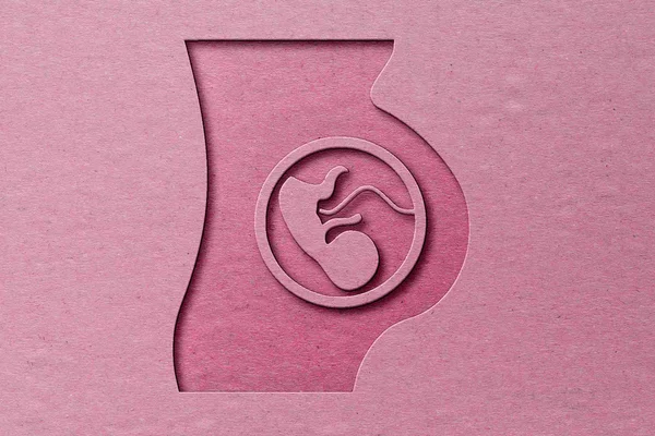 Ilustração com uma barriga de grávida com um feto sob fundo rosa - Metrópoles